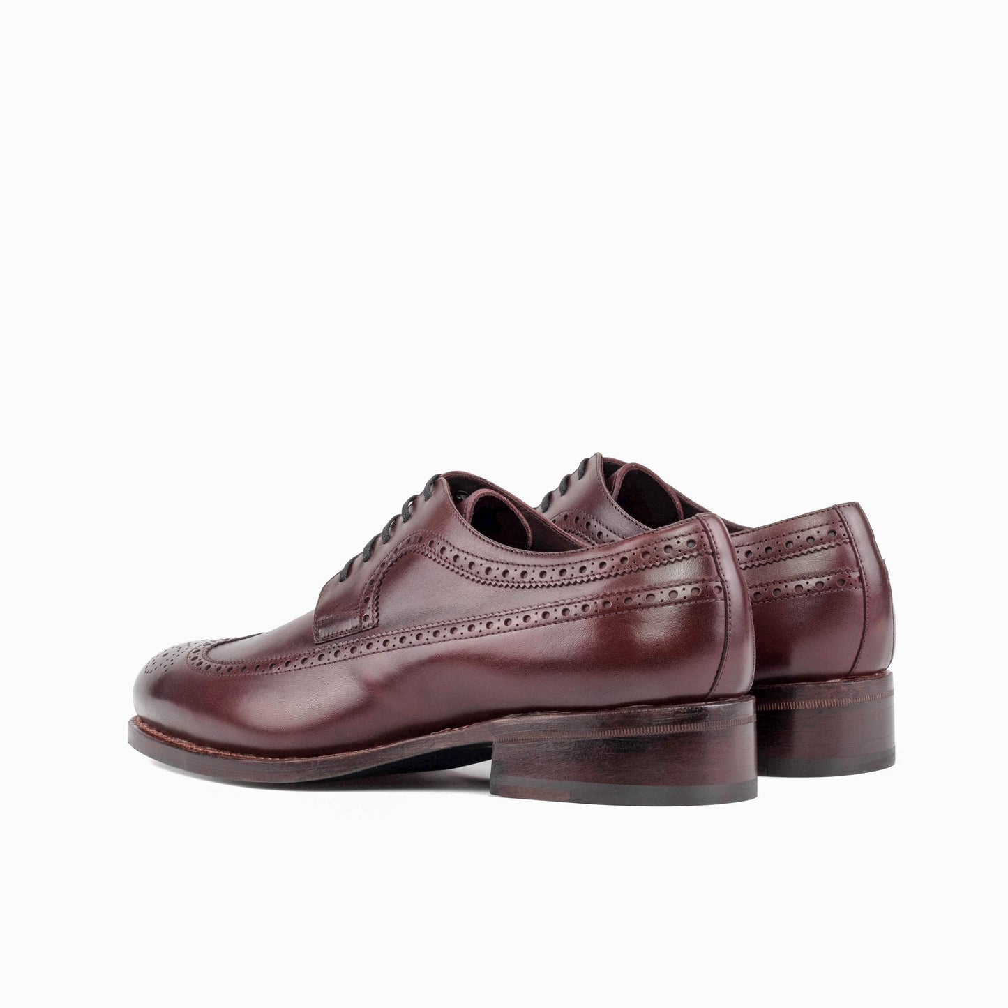 Longwing Blucher